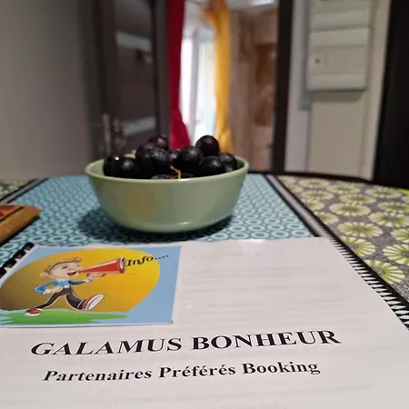 公寓 Galamus Bonheur - L'art De Choisir 圣保罗－德弗努耶