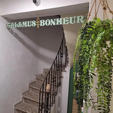 Galamus Bonheur - Quand Tu Veux T'echapper De Chez Toi !