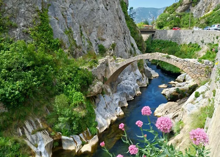 Galamus Bonheur - L'art De Choisir