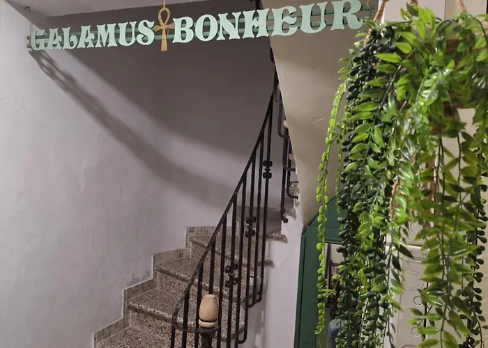 Galamus Bonheur - L'art De Choisir
